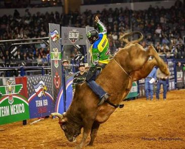 PBR Rodeo