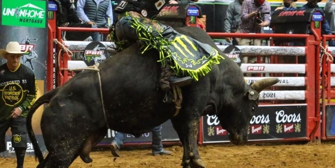 PBR1