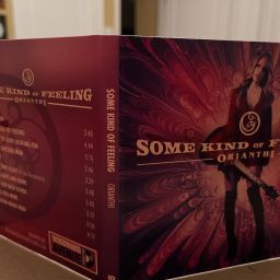 Orianthi - Some Kind of Feeling